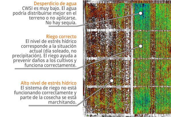 CWSI - Índice de Estrés Hídrico de los Cultivos